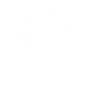 Sercomelectric