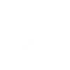 Sercomelectric